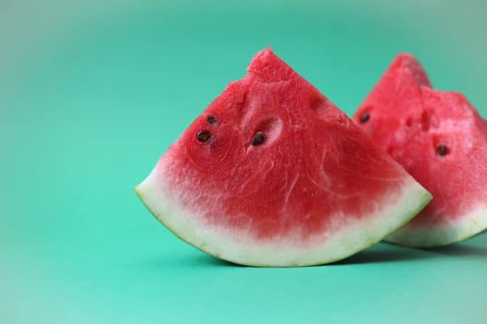 vannmelon hovedbilde