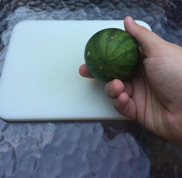 liten melon