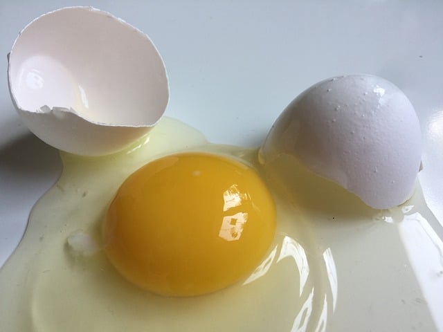 Knust egg