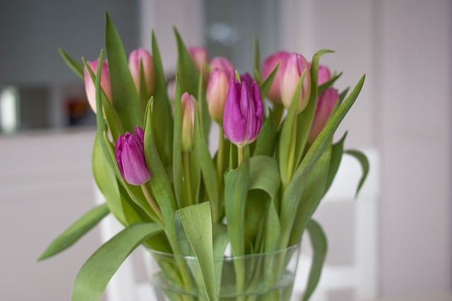tulipaner i vann 2
